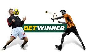 All You Need to Know About BetWinner Japan